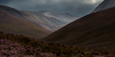 An image of the landscape of the Cairngorms National Park, Scotland